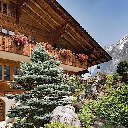 Appartement 1 Zimmerwohnung Chalet Im Zwygarten In