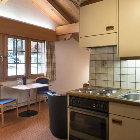 Appartement 1 Zimmerwohnung Chalet Im Zwygarten In *